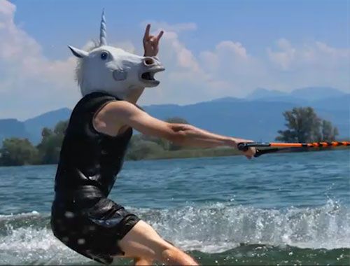 Einhorn wakeboard